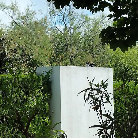 Camaleon Villa